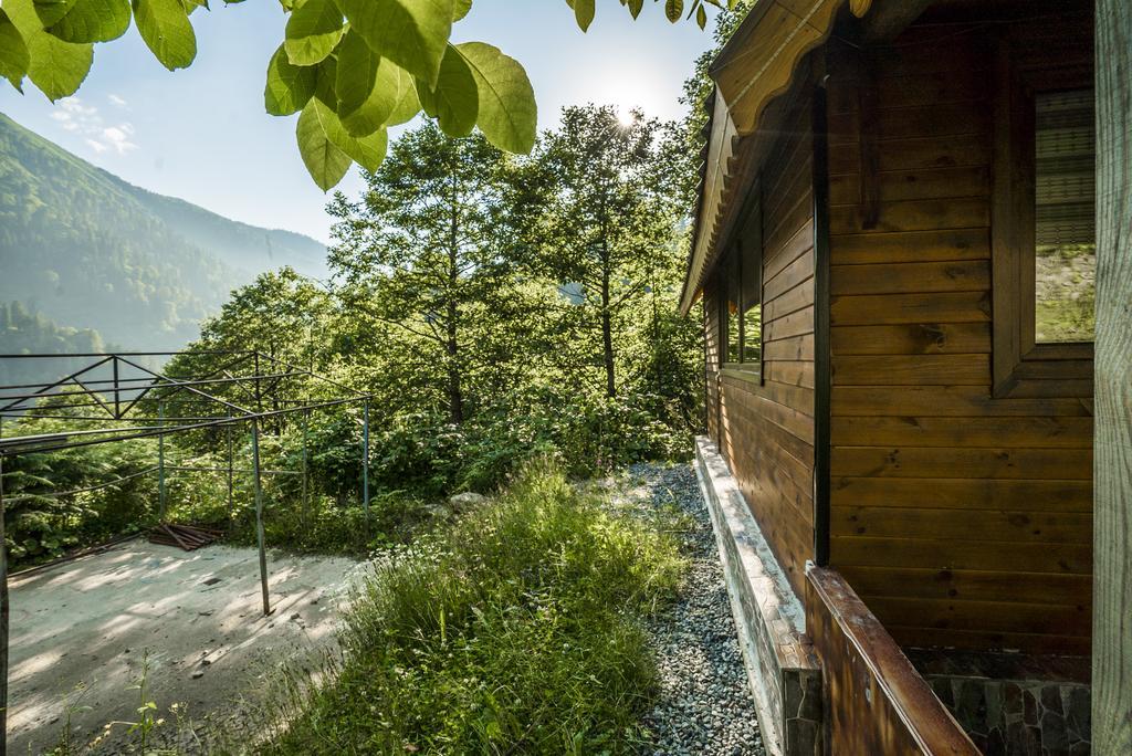 Ayder Selale Dag Evleri Exterior foto